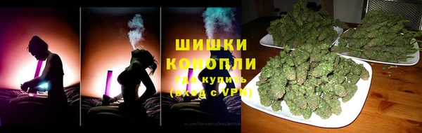 мдпв Горнозаводск