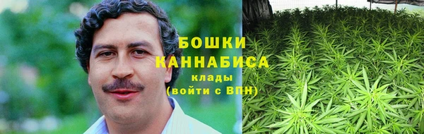 мдпв Горнозаводск