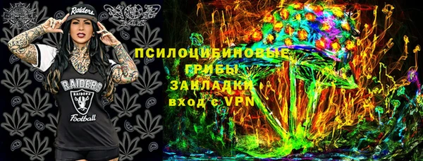 молекула духа Горняк