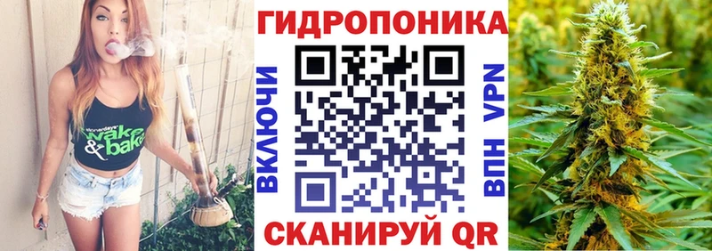 Шишки марихуана индика  где найти   Кирс 